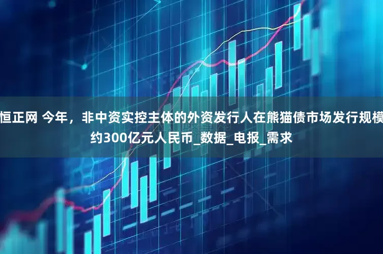 恒正网 今年，非中资实控主体的外资发行人在熊猫债市场发行规模约300亿元人民币_数据_电报_需求